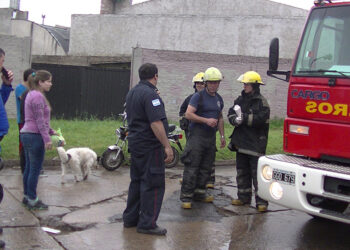 (Los bomberos, la policía y testigos del accidente)