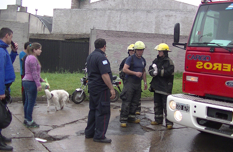 (Los bomberos, la policía y testigos del accidente)