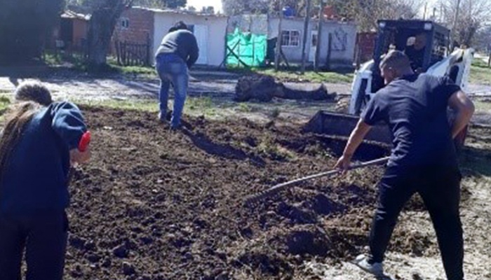 Trabajo colectivo