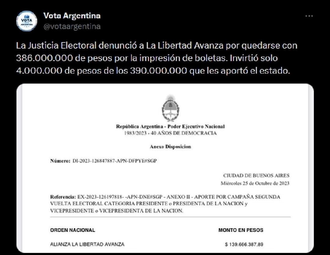 (La denuncia emitida por la Justicia Electoral contra La Libertad Avanza)